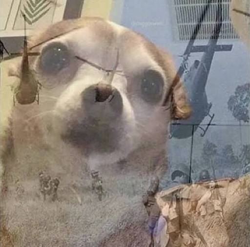 trenchdog