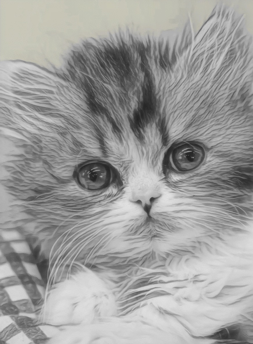 MINICAT