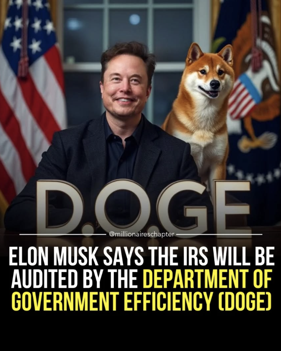 Doge