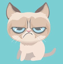 AngryCat