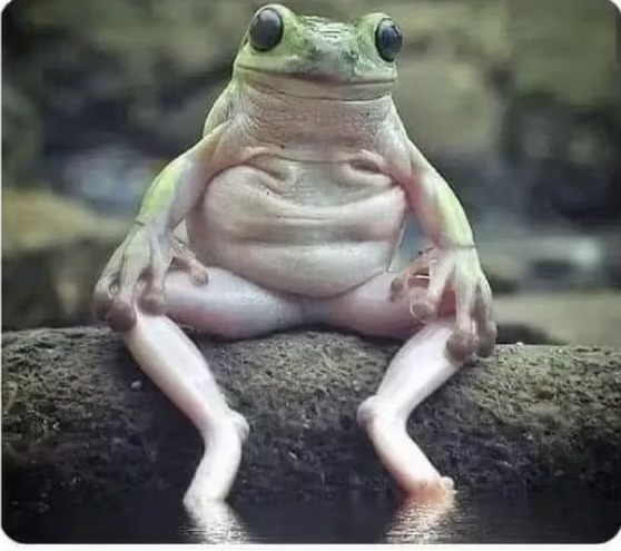 $FatPepe
