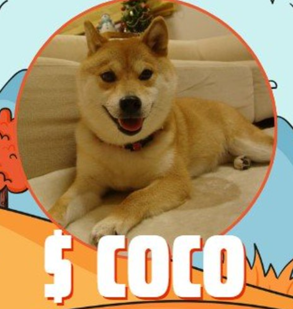 COCO