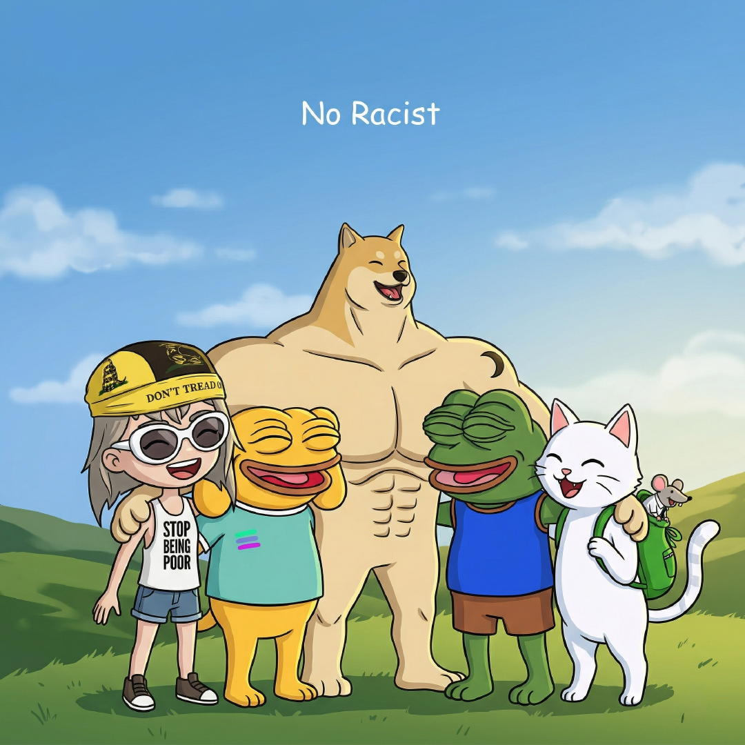 NO RACIST