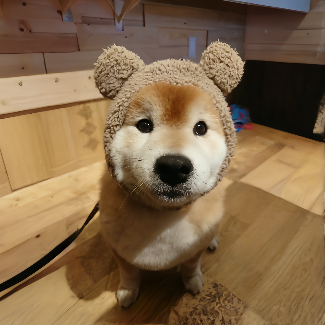 ber