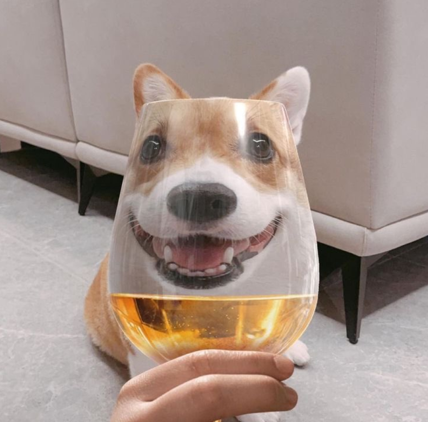 D🍷G