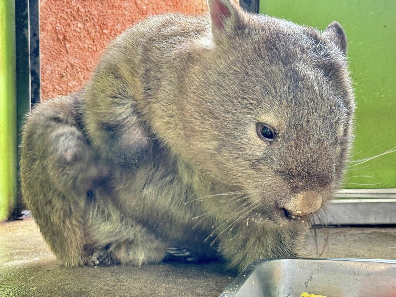 POOKPIK