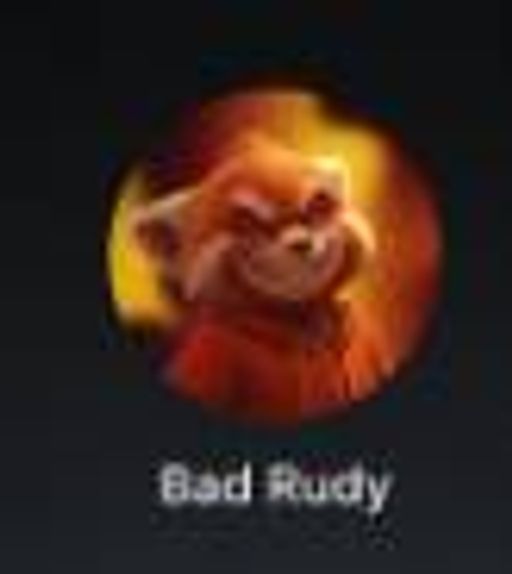 BAD RUDI logo