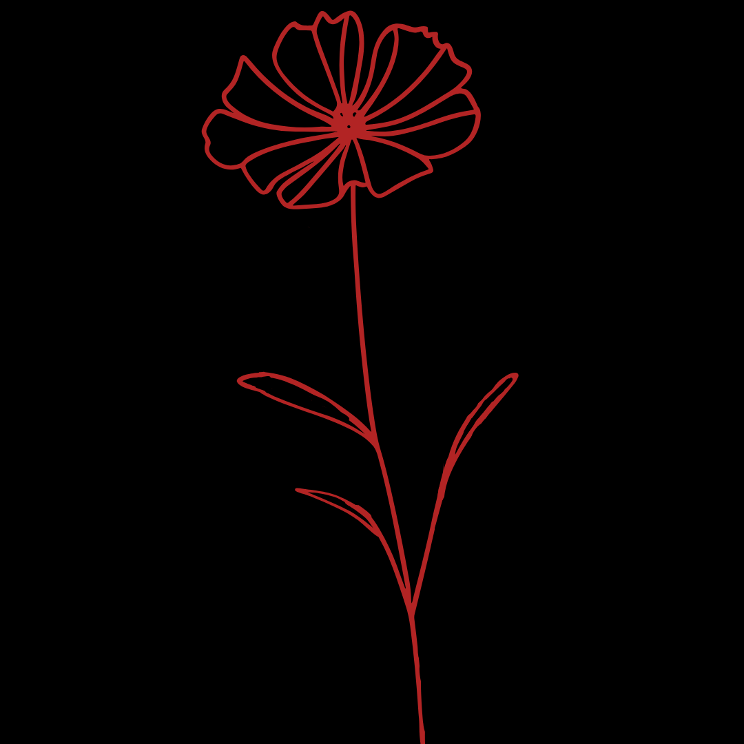 poppy