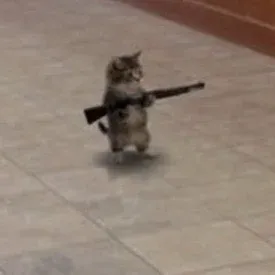 GUN