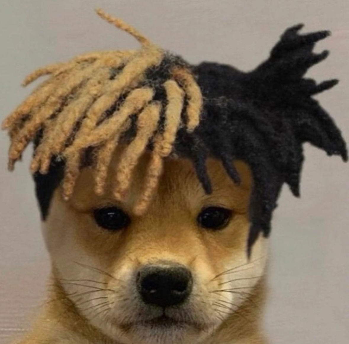 DWIFD
