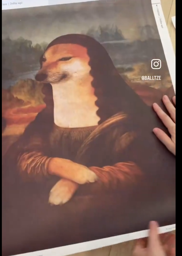 DogeLisa