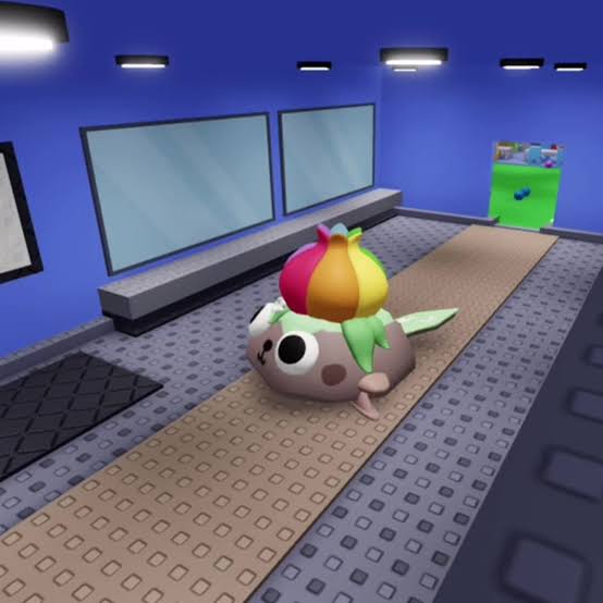PEEBL
