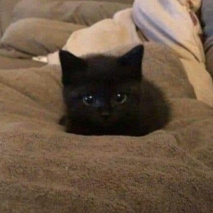 COALY