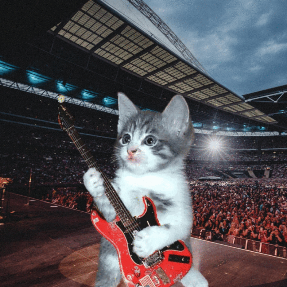 STARCAT