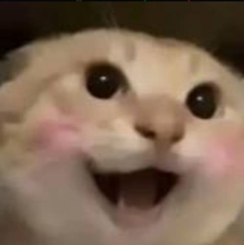 哈基米