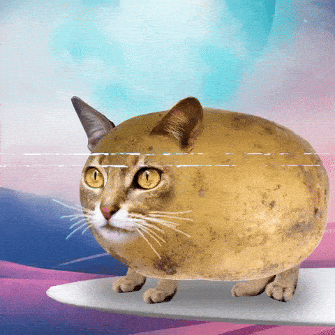 POCAT