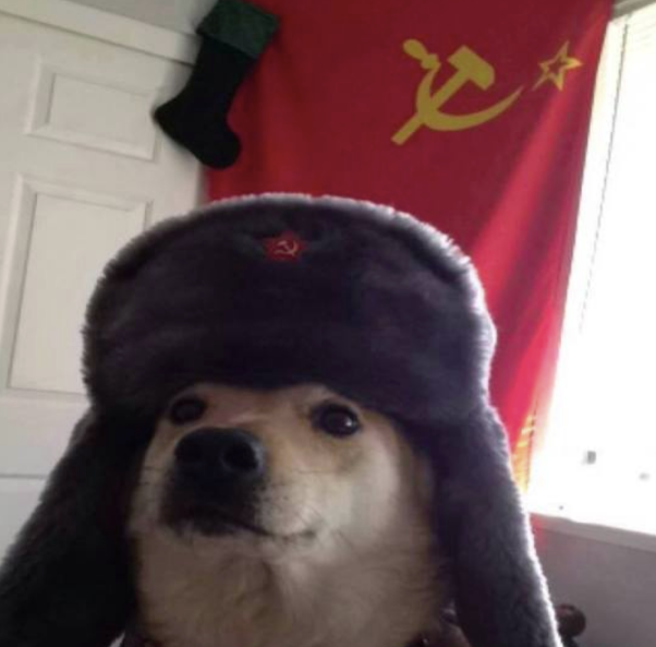 Пёс