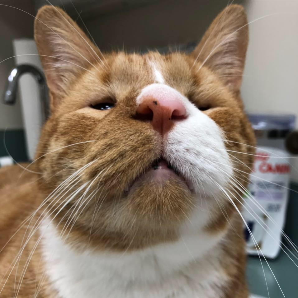 MRMAGOO