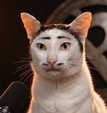 Felipe