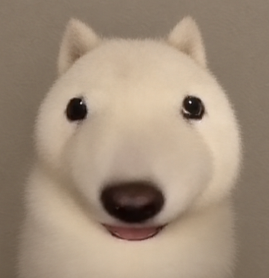 blobdog