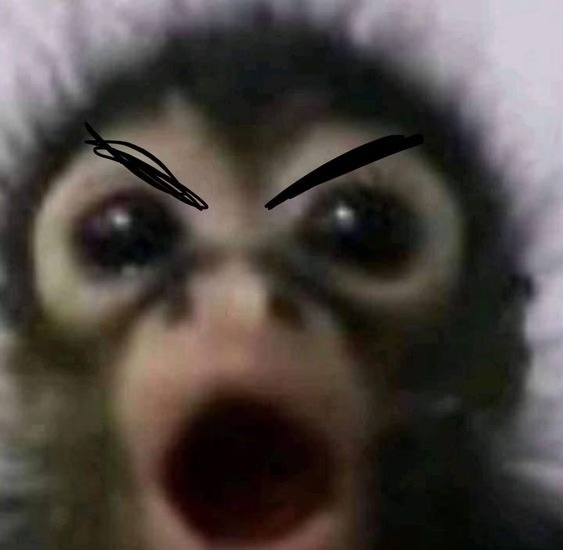MONKY