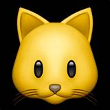 PUSSY