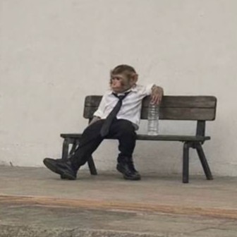 Biz