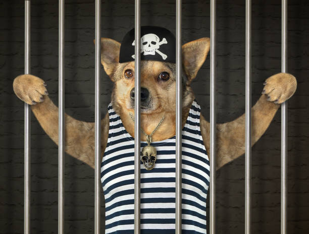 JAIL