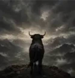 BULL