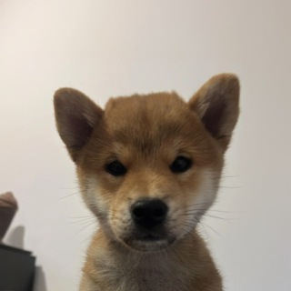 maki