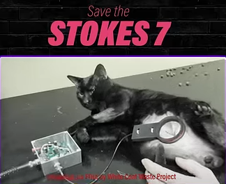 STOKES 7