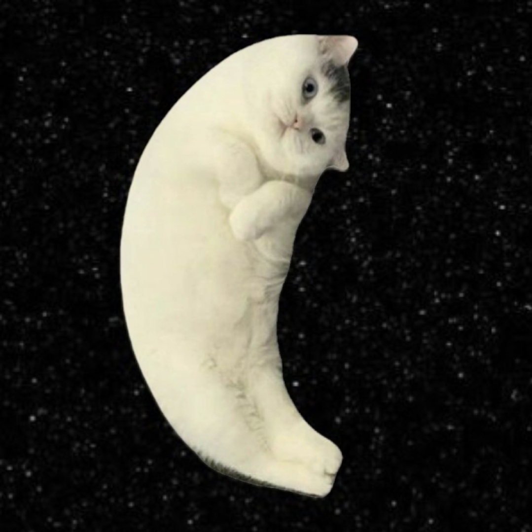MOONCAT