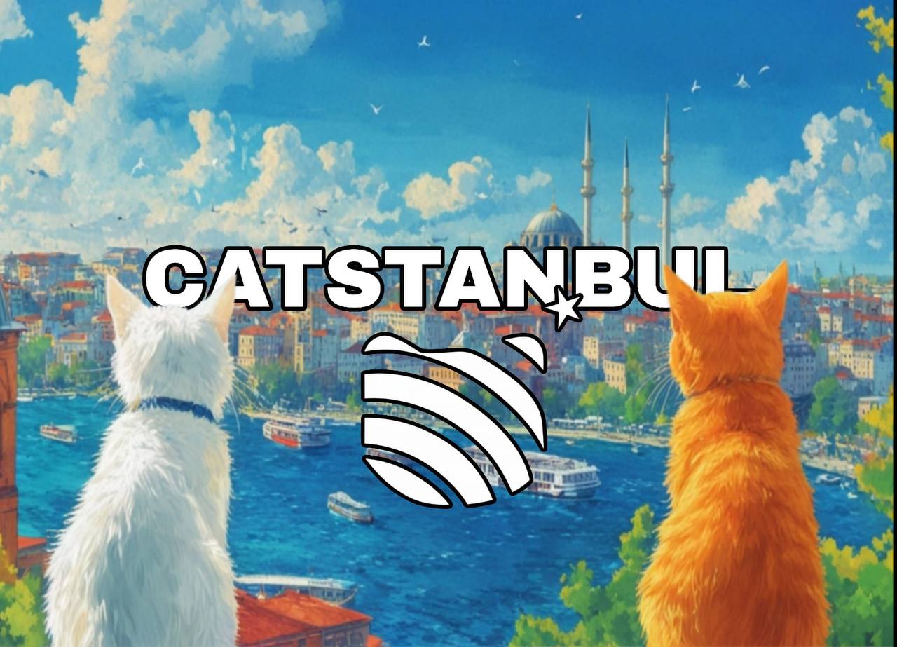 CATSTANBUL