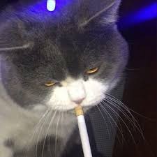 $CIGGY