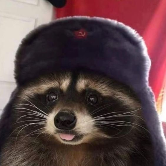 comrade