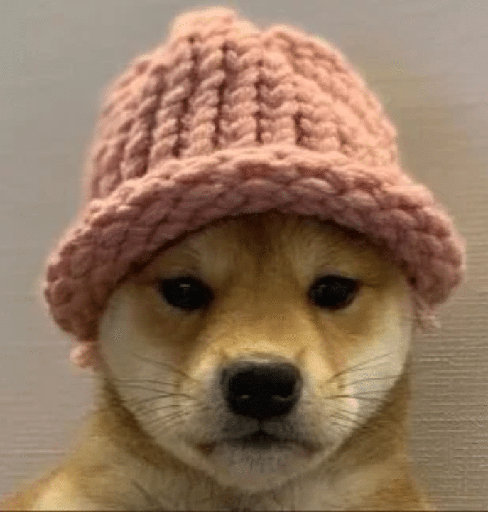 Wif
