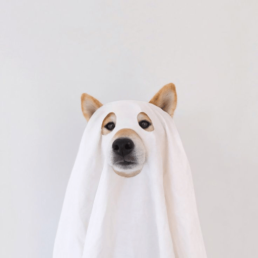 GHOST