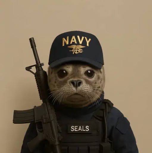 NavySeals