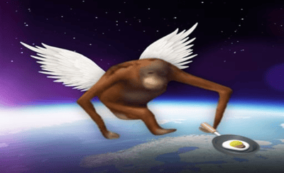 fsfsf