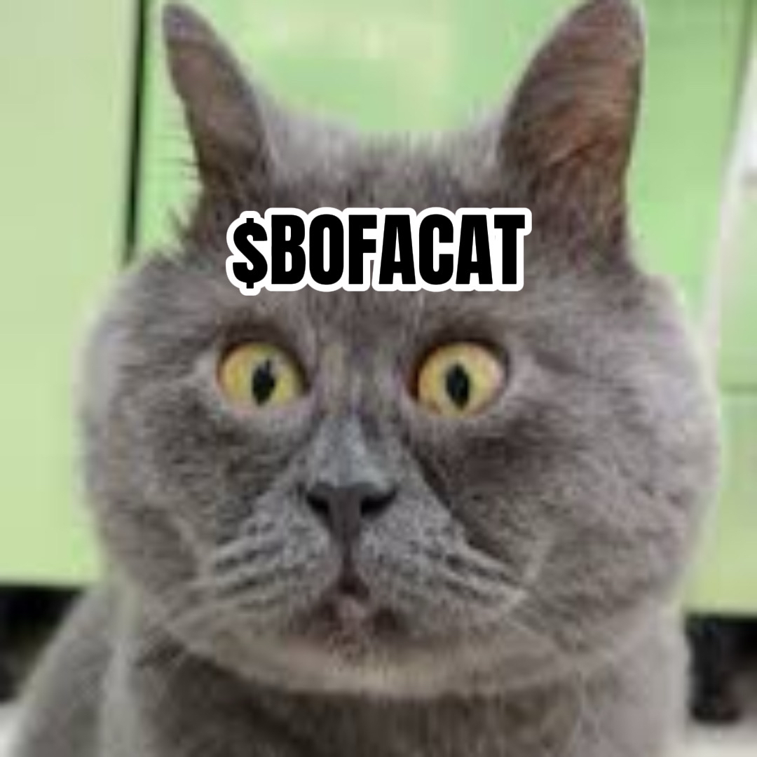 BOFACAT