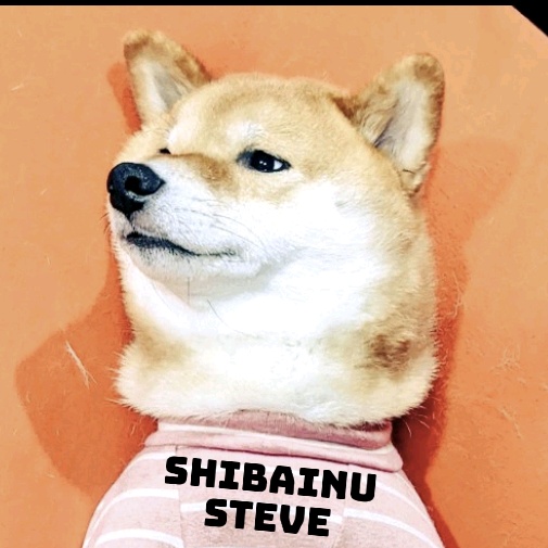 STEVE