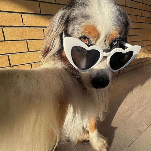 DIVA