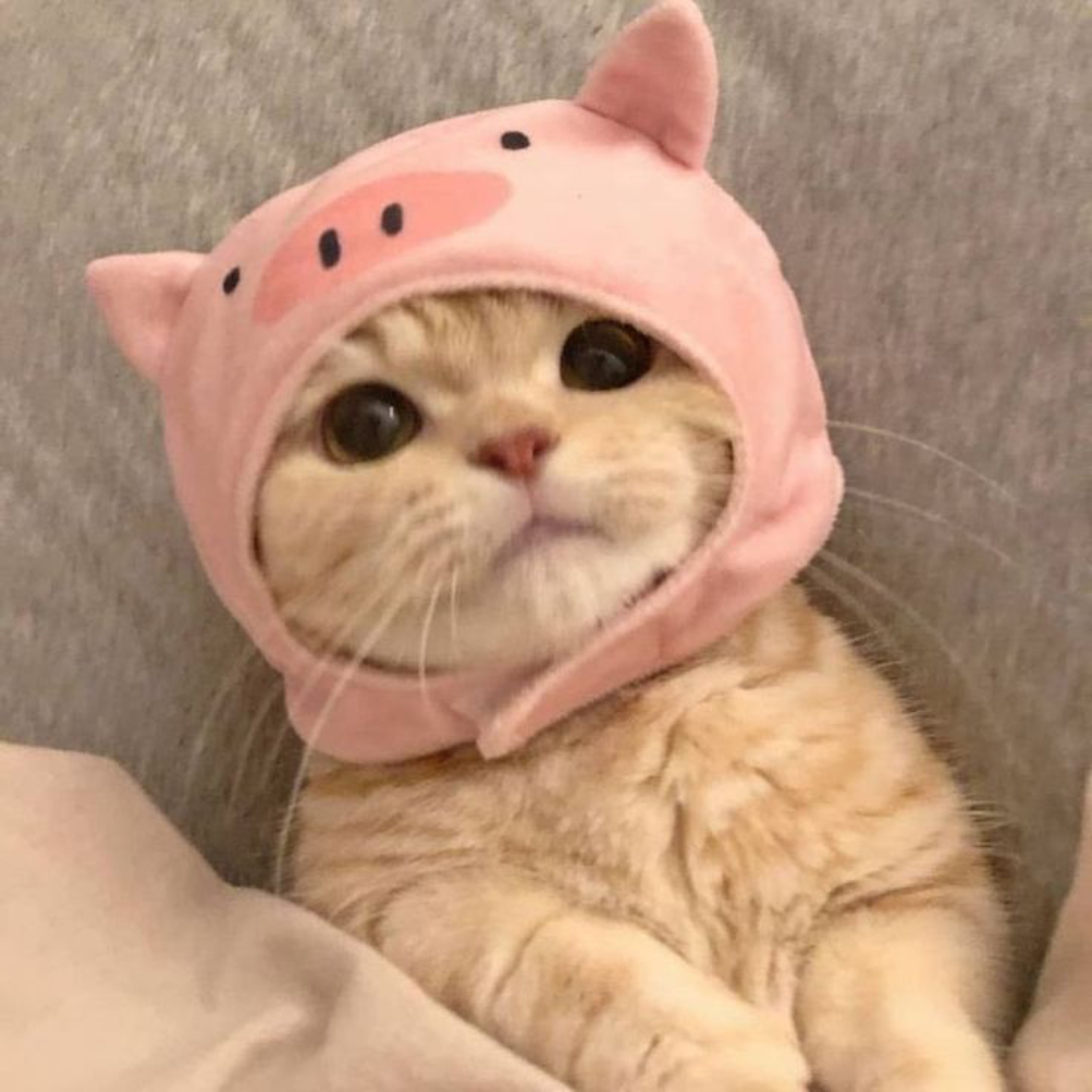 PIGIE