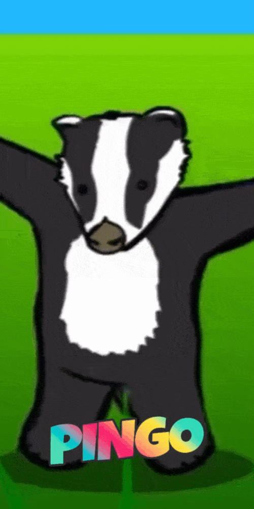 PINGO
