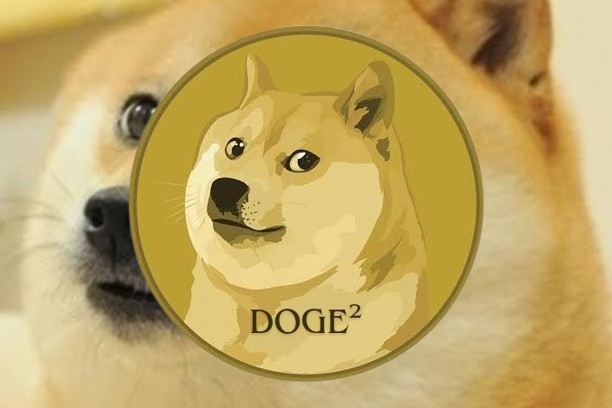 DOGE²