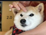 Neiro2