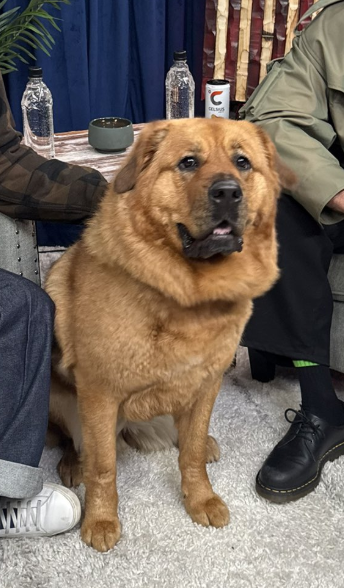 KAYA