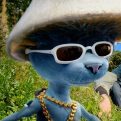 Smurfcat