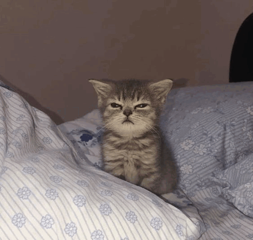 miso
