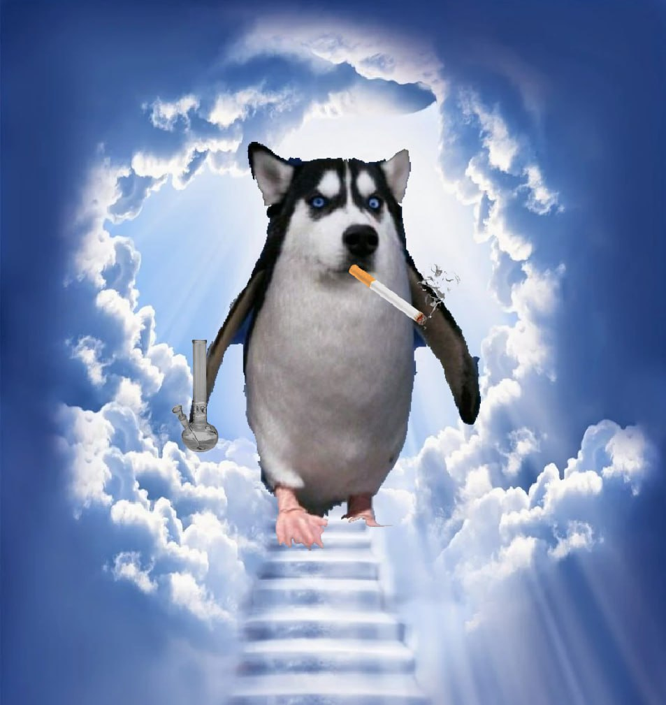 HSPD
